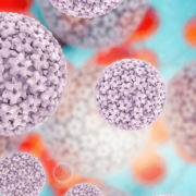 Grafik einer Humanen Papillomviruses (HPV)