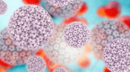Grafik einer Humanen Papillomviruses (HPV)