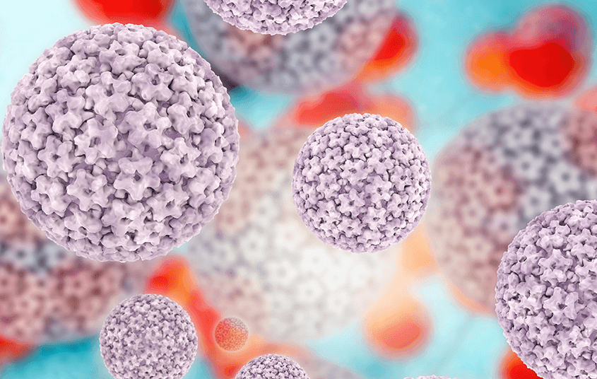 Grafik einer Humanen Papillomviruses (HPV)
