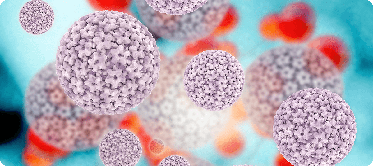 Grafik einer Humanen Papillomviruses (HPV)