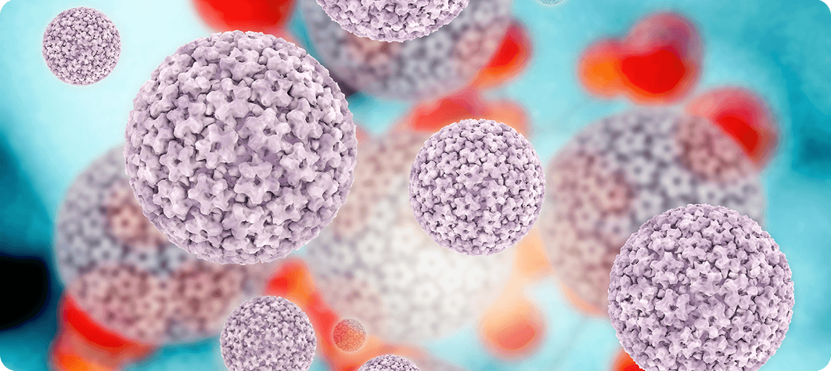 Grafik einer Humanen Papillomviruses (HPV)