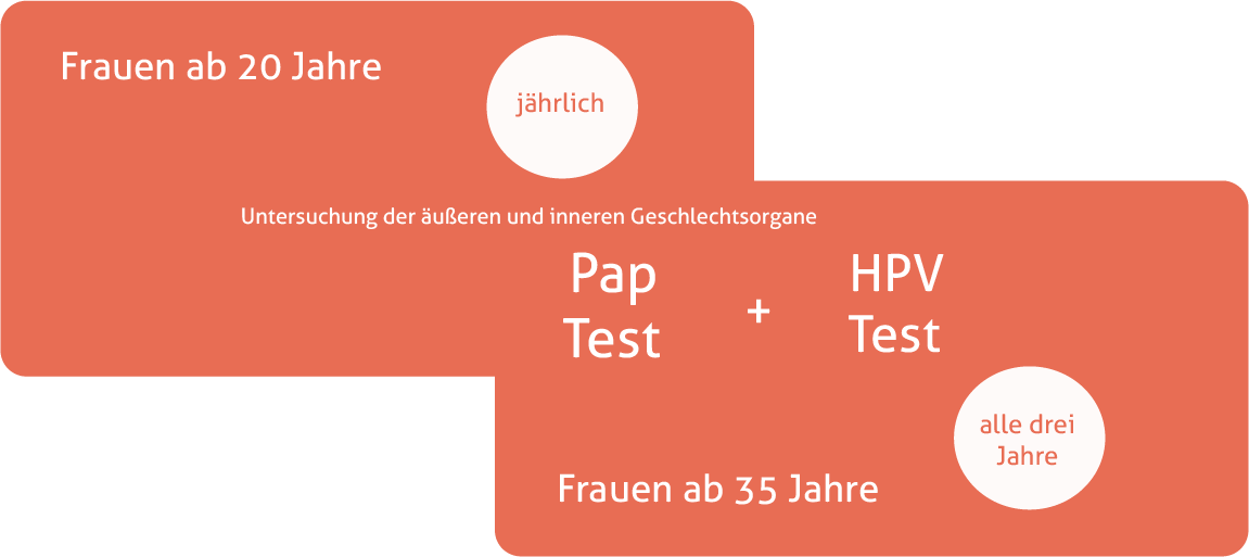 Grafische Darstellung der Gebärmutterhalskrebs Vorsorge