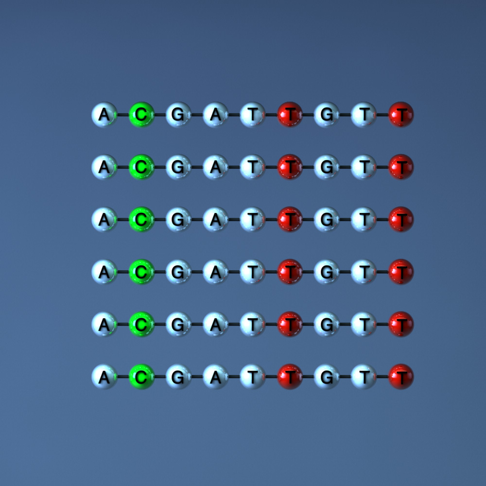 Symbolbild für analytische PCR